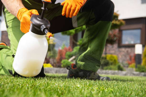 Best Mosquito Control Services  in Shallotte, NC